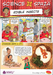 Edible Insects Worksheet thumbnail 2019.png